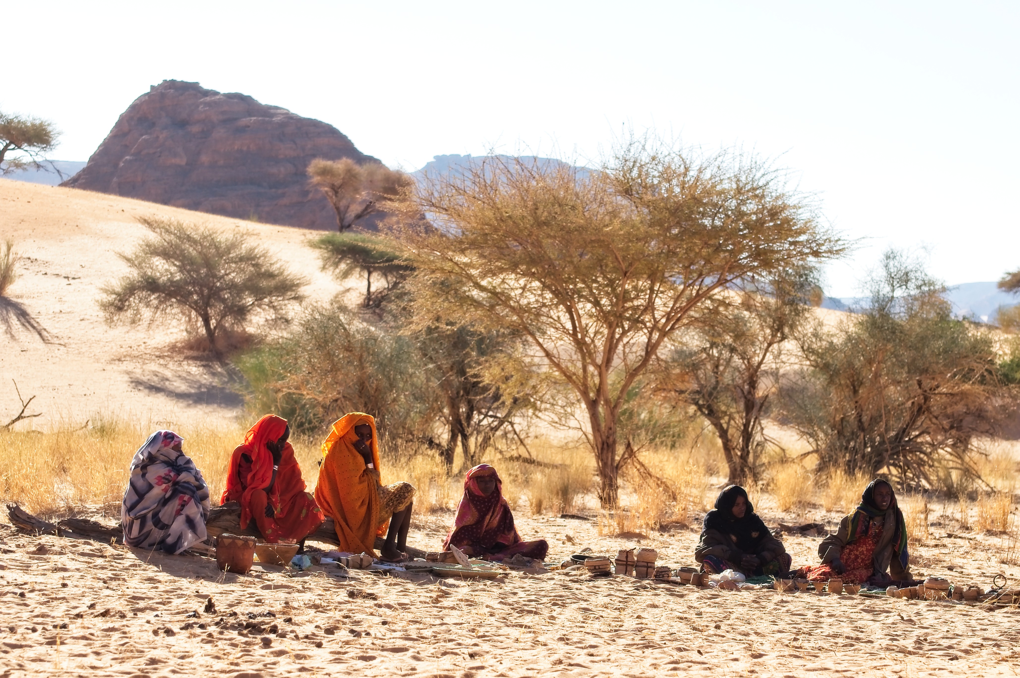 pastoralism and salt caravans in the Ennedi maasif and the central Chadian plains