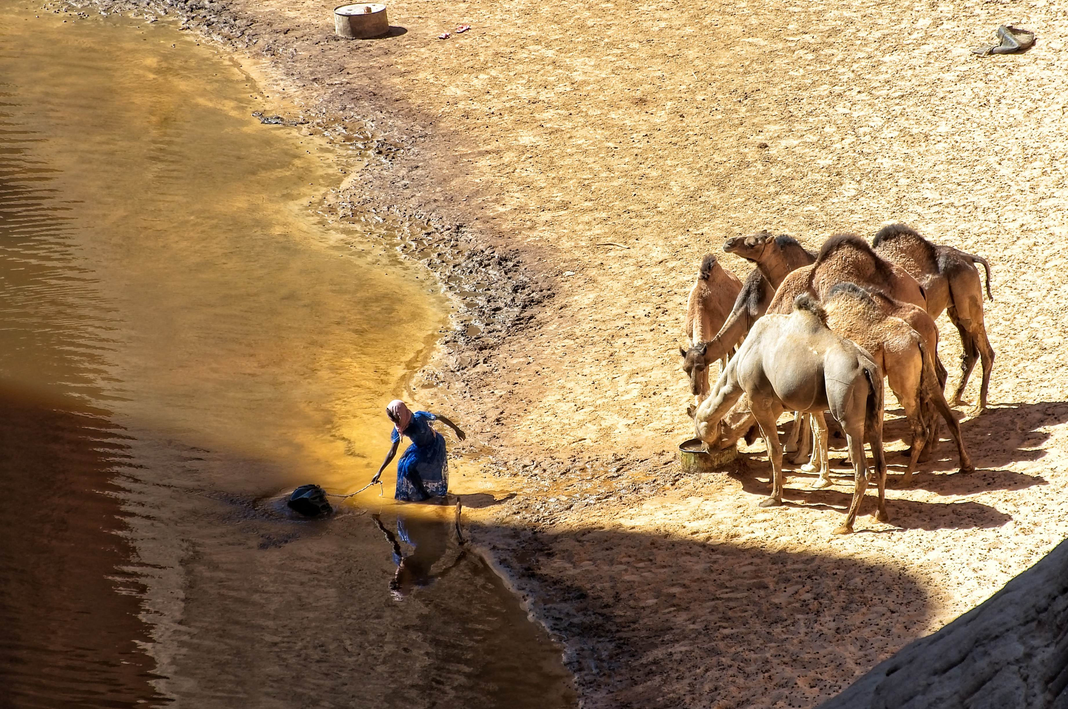 pastoralism and salt caravans in the Ennedi maasif and the central Chadian plains