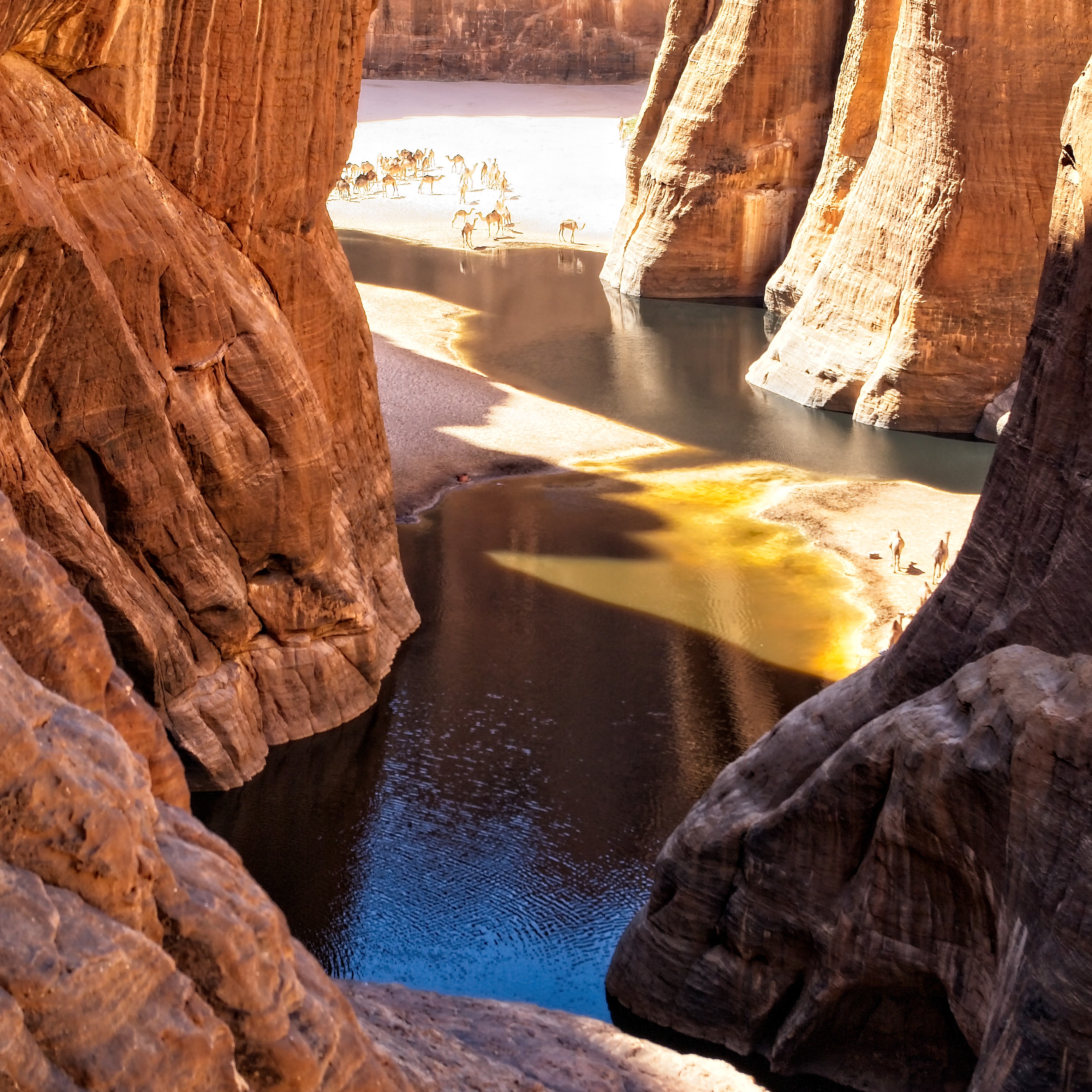 pastoralism and salt caravans in the Ennedi maasif and the central Chadian plains