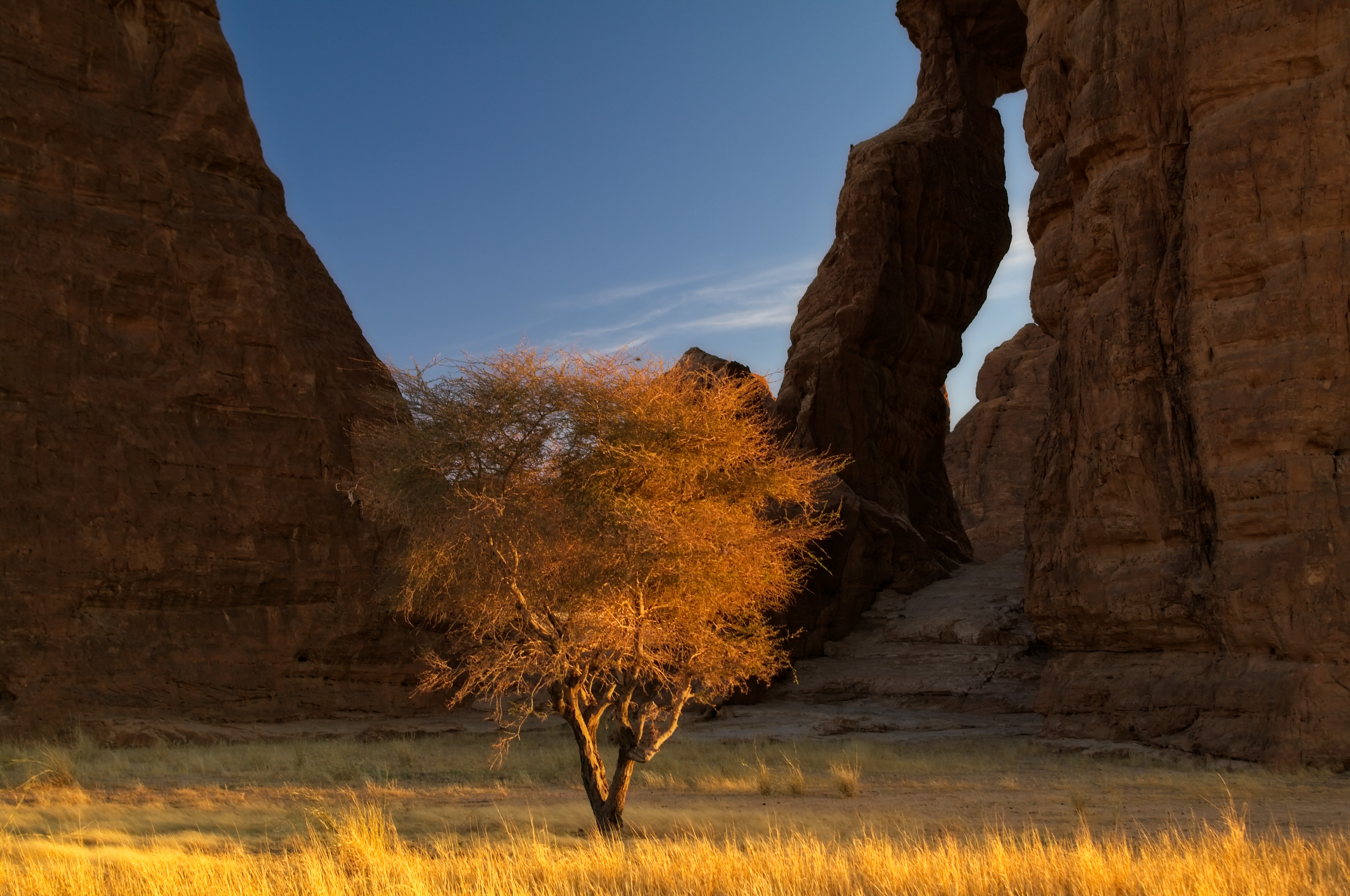 pastoralism and salt caravans in the Ennedi maasif and the central Chadian plains