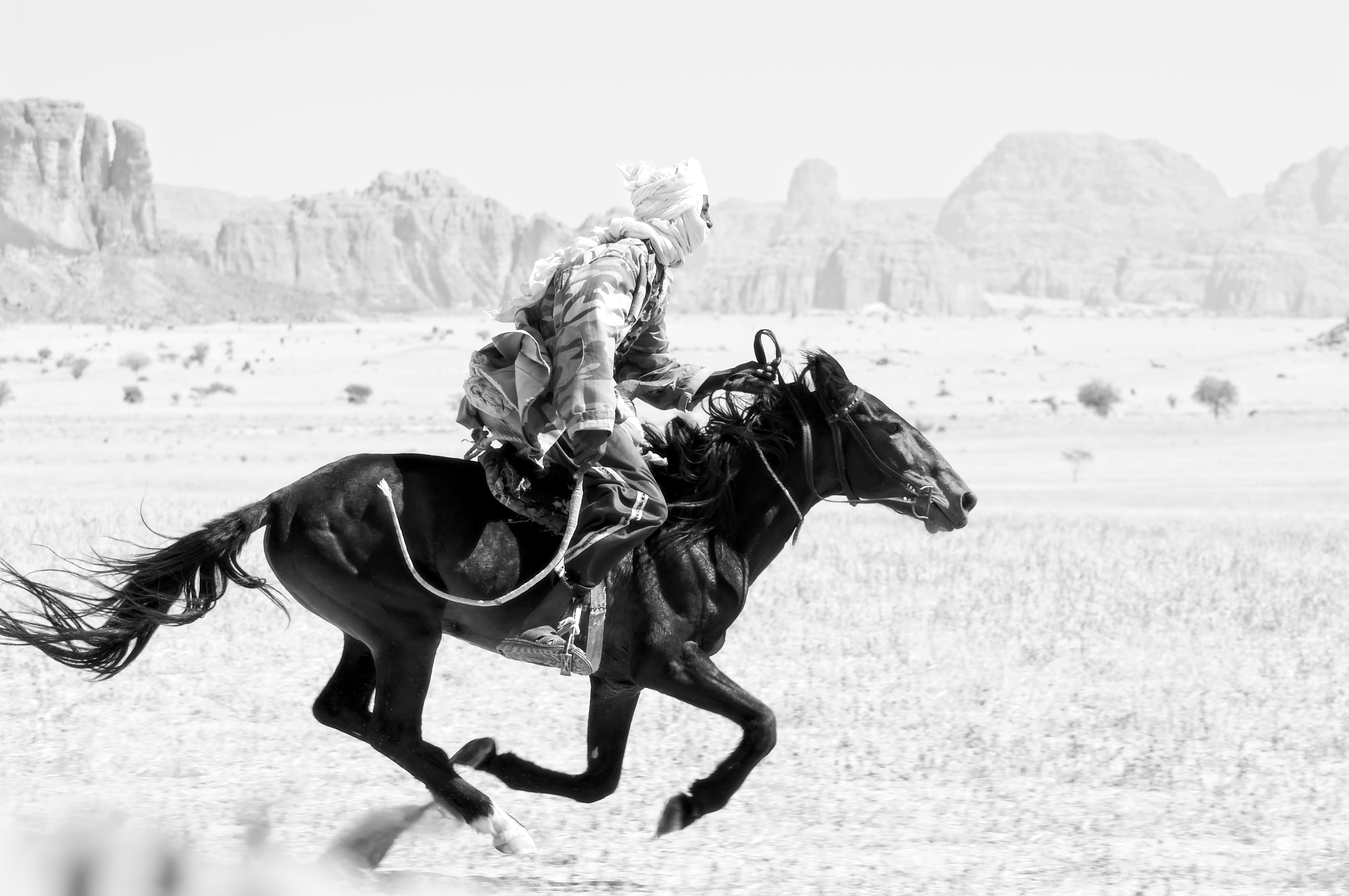pastoralism and salt caravans in the Ennedi maasif and the central Chadian plains