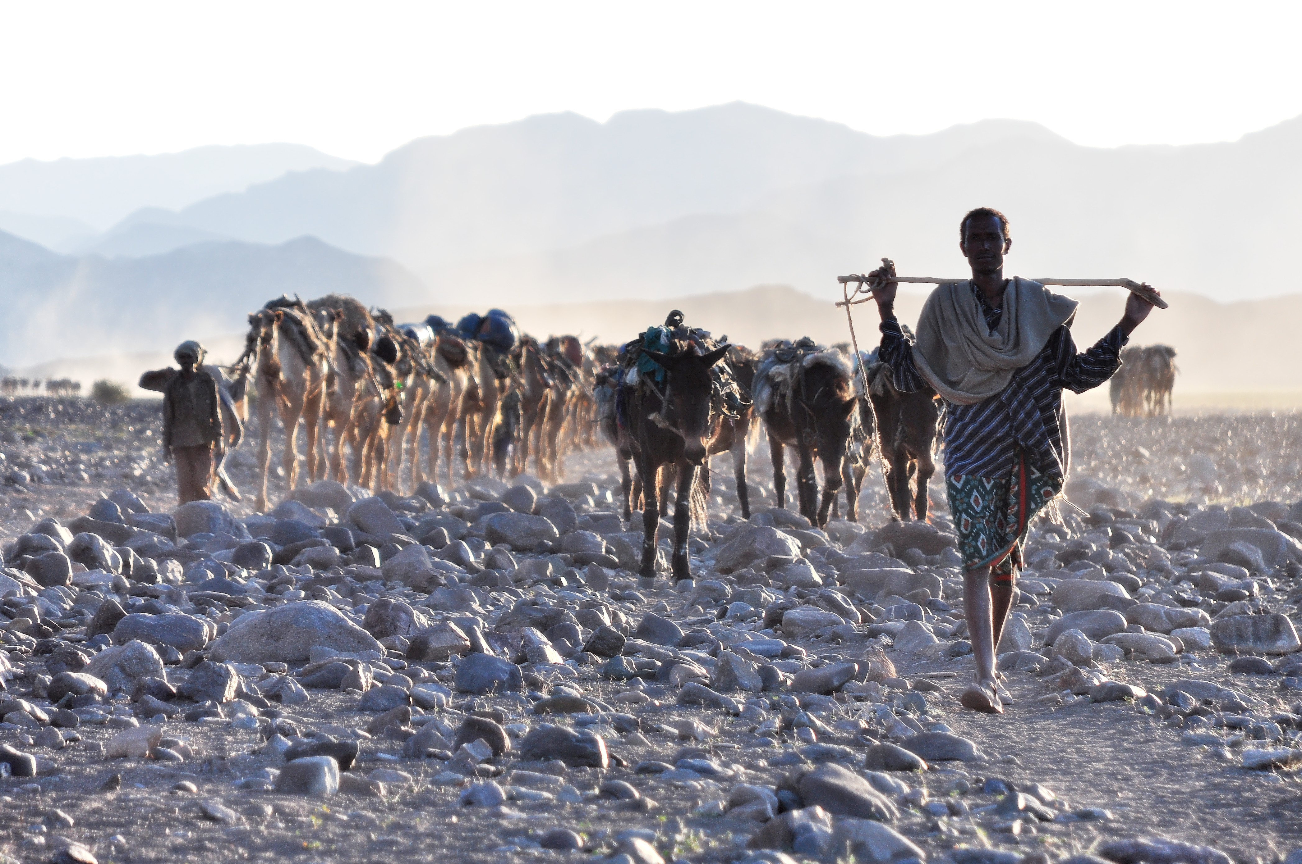 salt winning at the lake Karum (Assale) in the Danakil depression (-123m msl)
