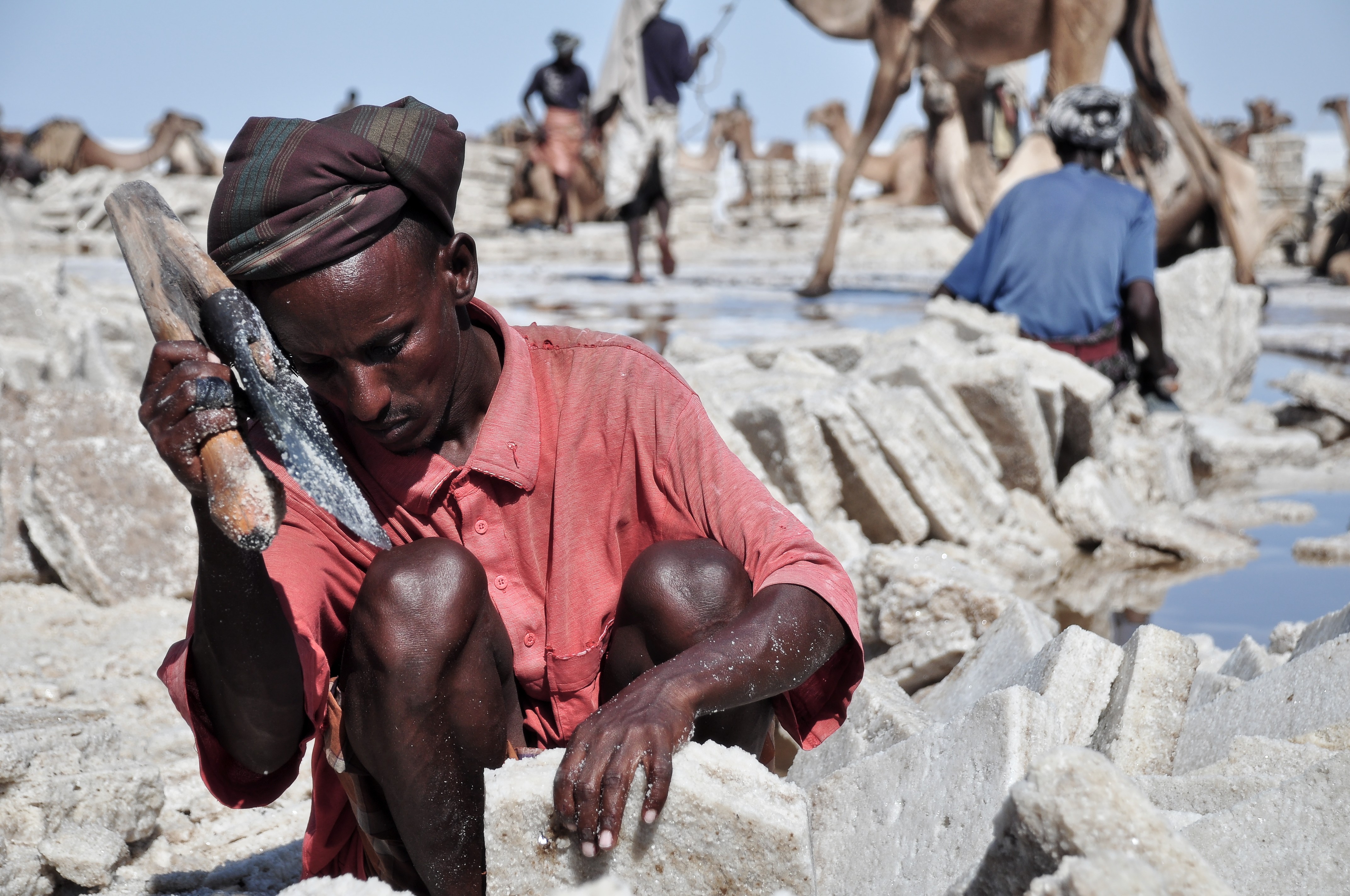 salt winning at the lake Karum (Assale) in the Danakil depression (-123m msl)