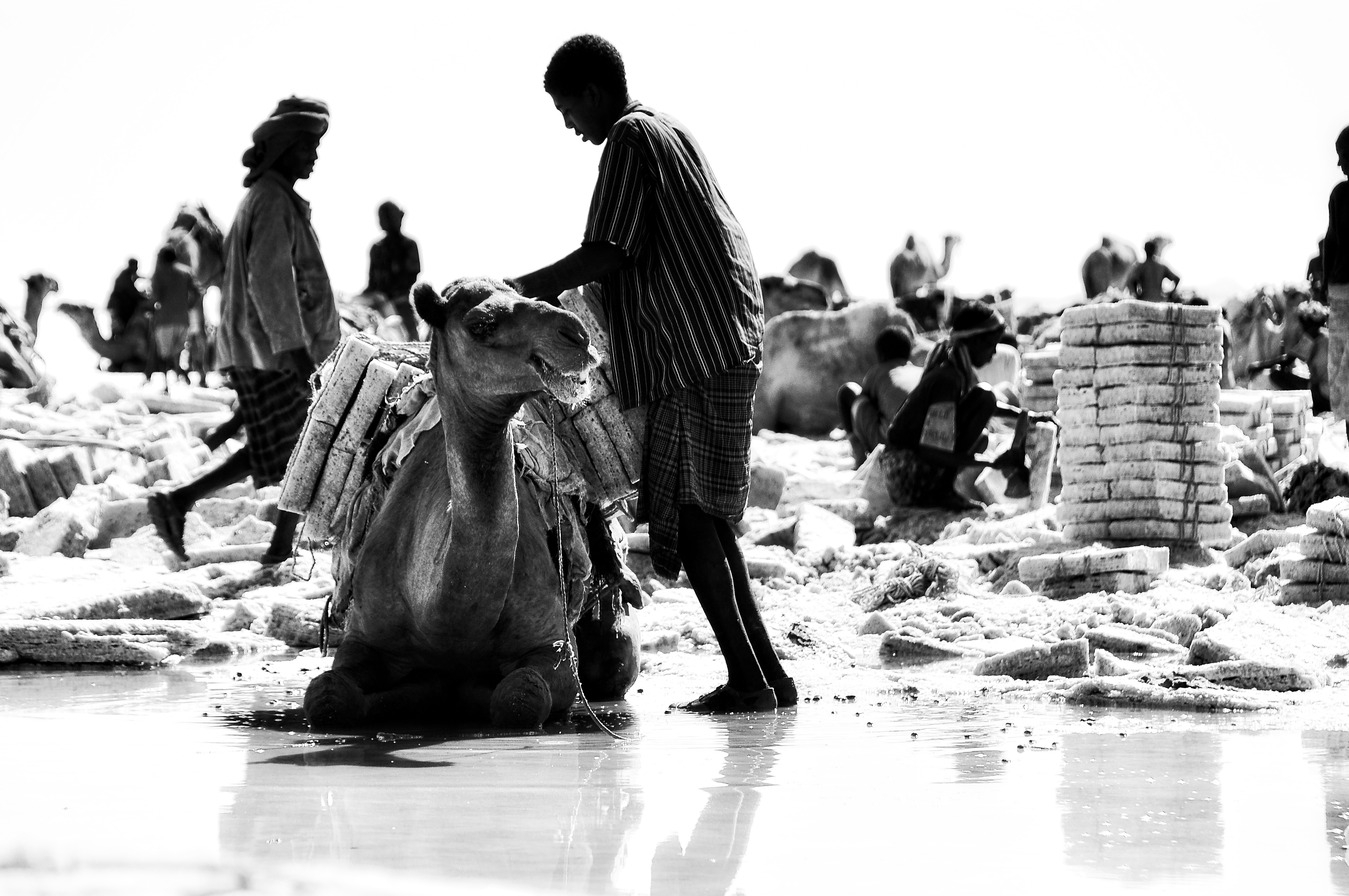 salt winning at the lake Karum (Assale) in the Danakil depression (-123m msl)