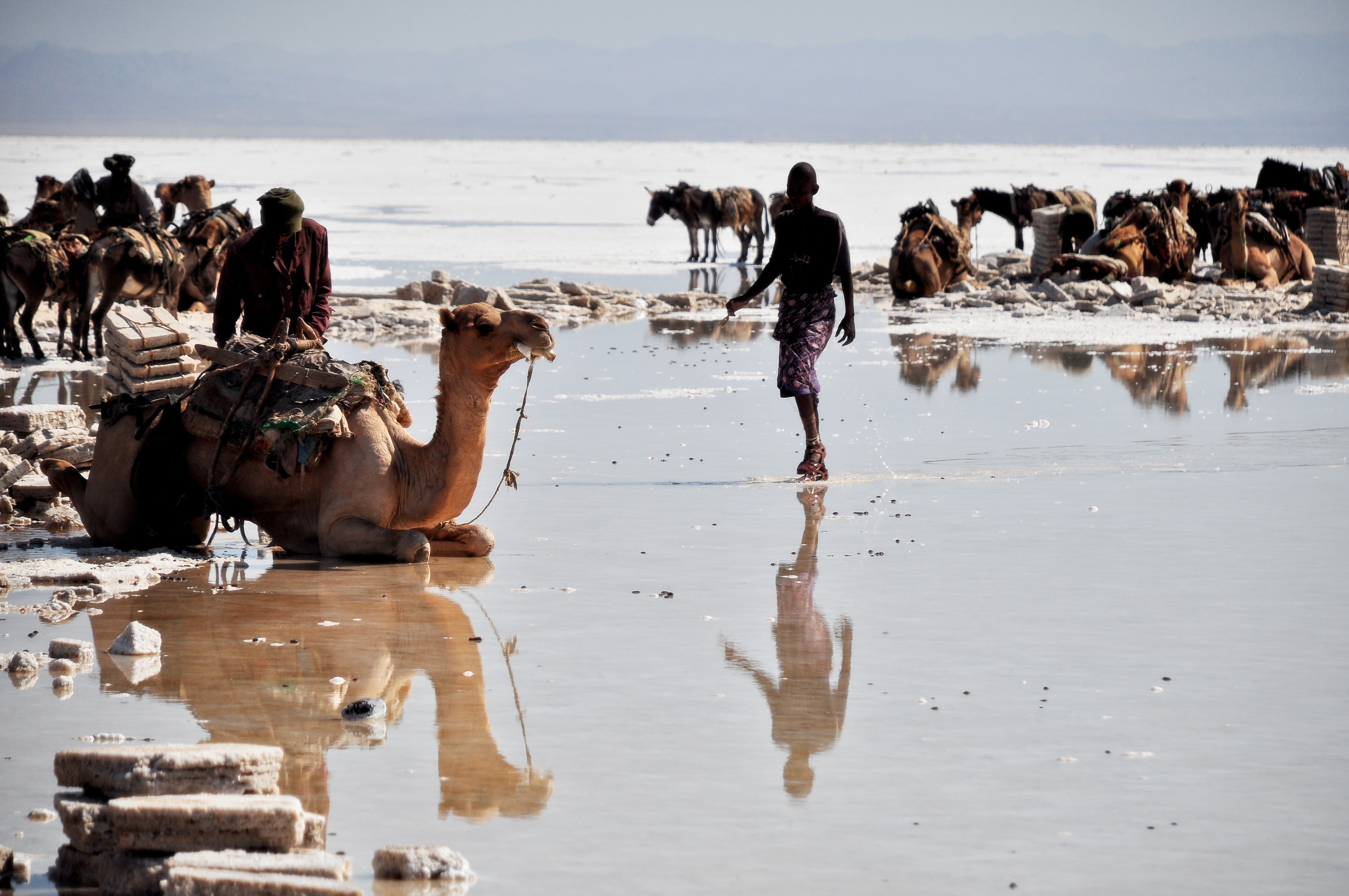 salt winning at the lake Karum (Assale) in the Danakil depression (-123m msl)