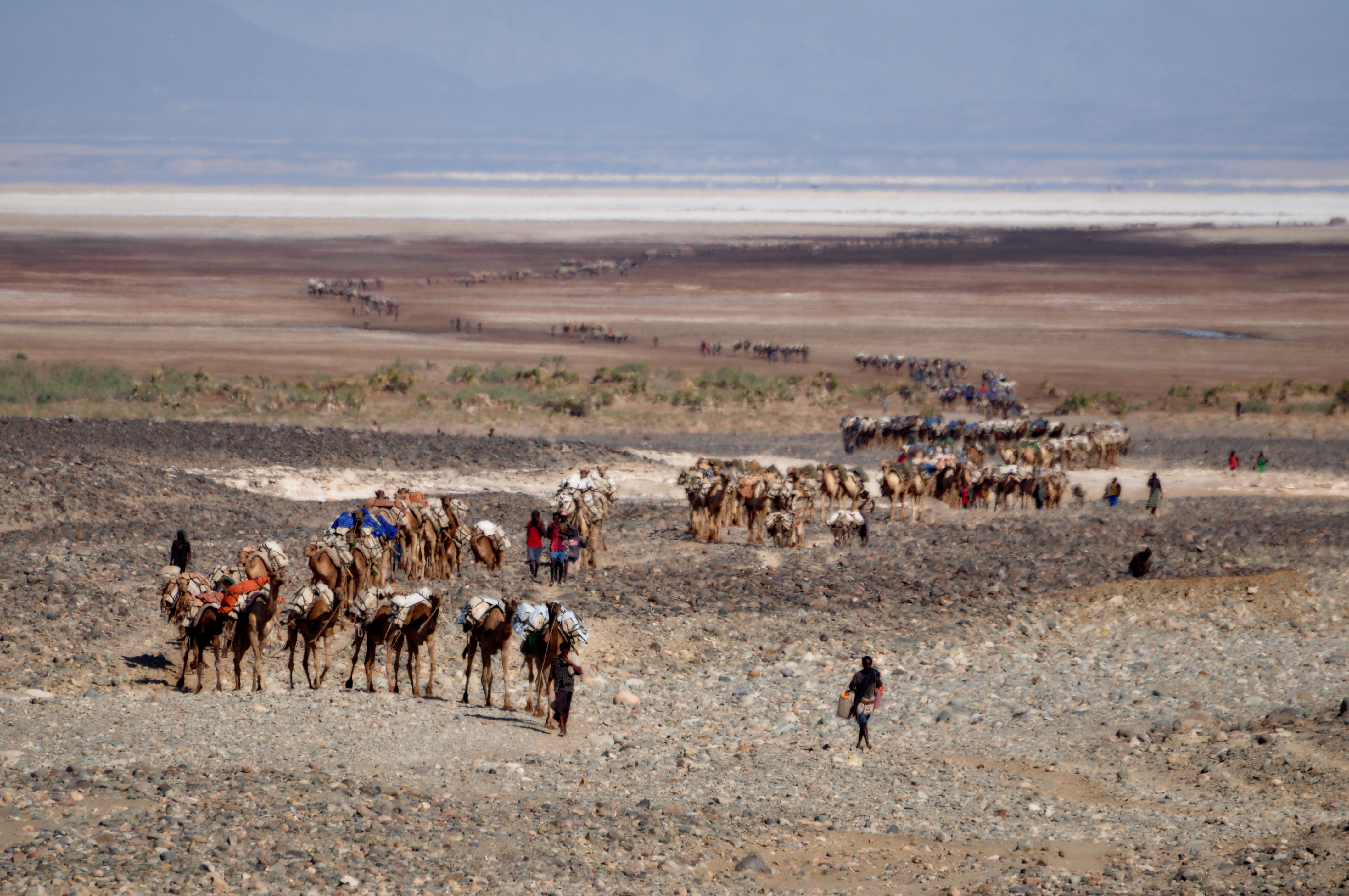 salt winning at the lake Karum (Assale) in the Danakil depression (-123m msl)