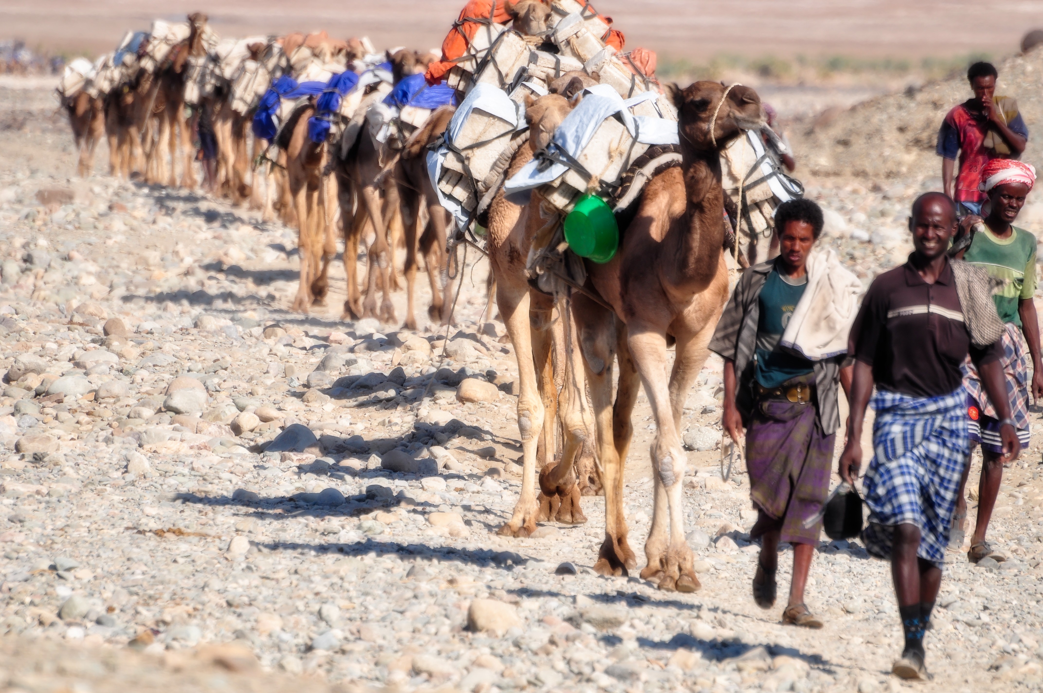 salt winning at the lake Karum (Assale) in the Danakil depression (-123m msl)