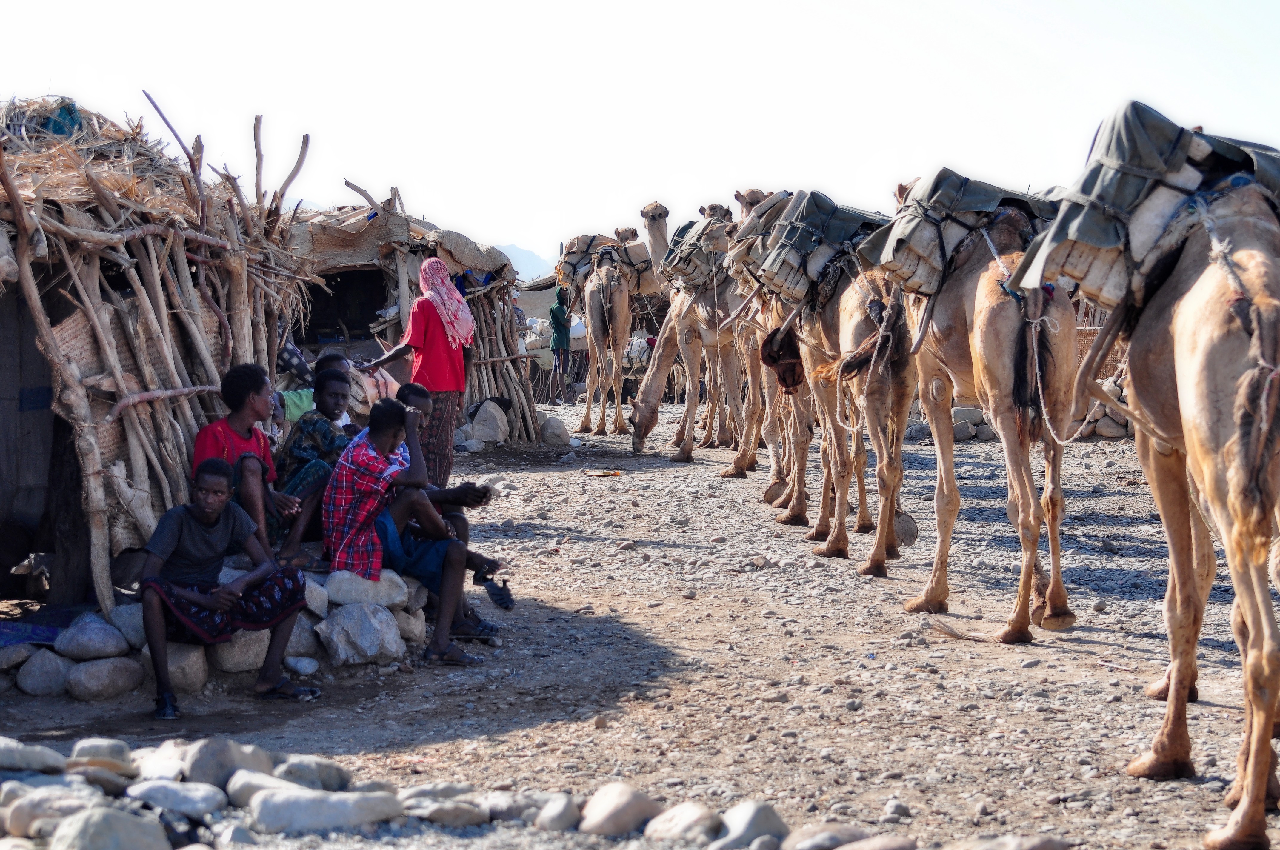 salt winning at the lake Karum (Assale) in the Danakil depression (-123m msl)