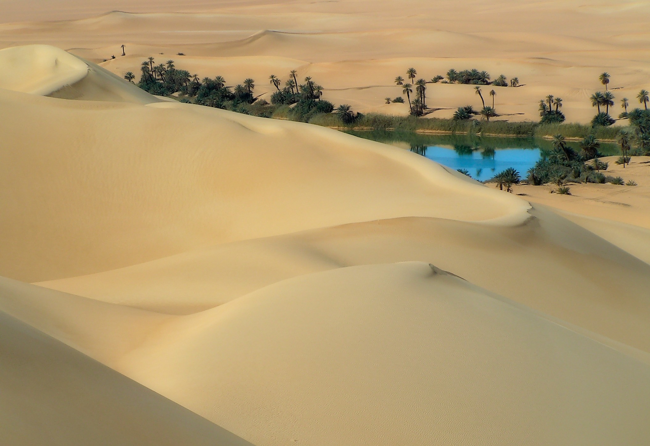 Méharé at the lakes in the Idehan Ubari, Fezzan