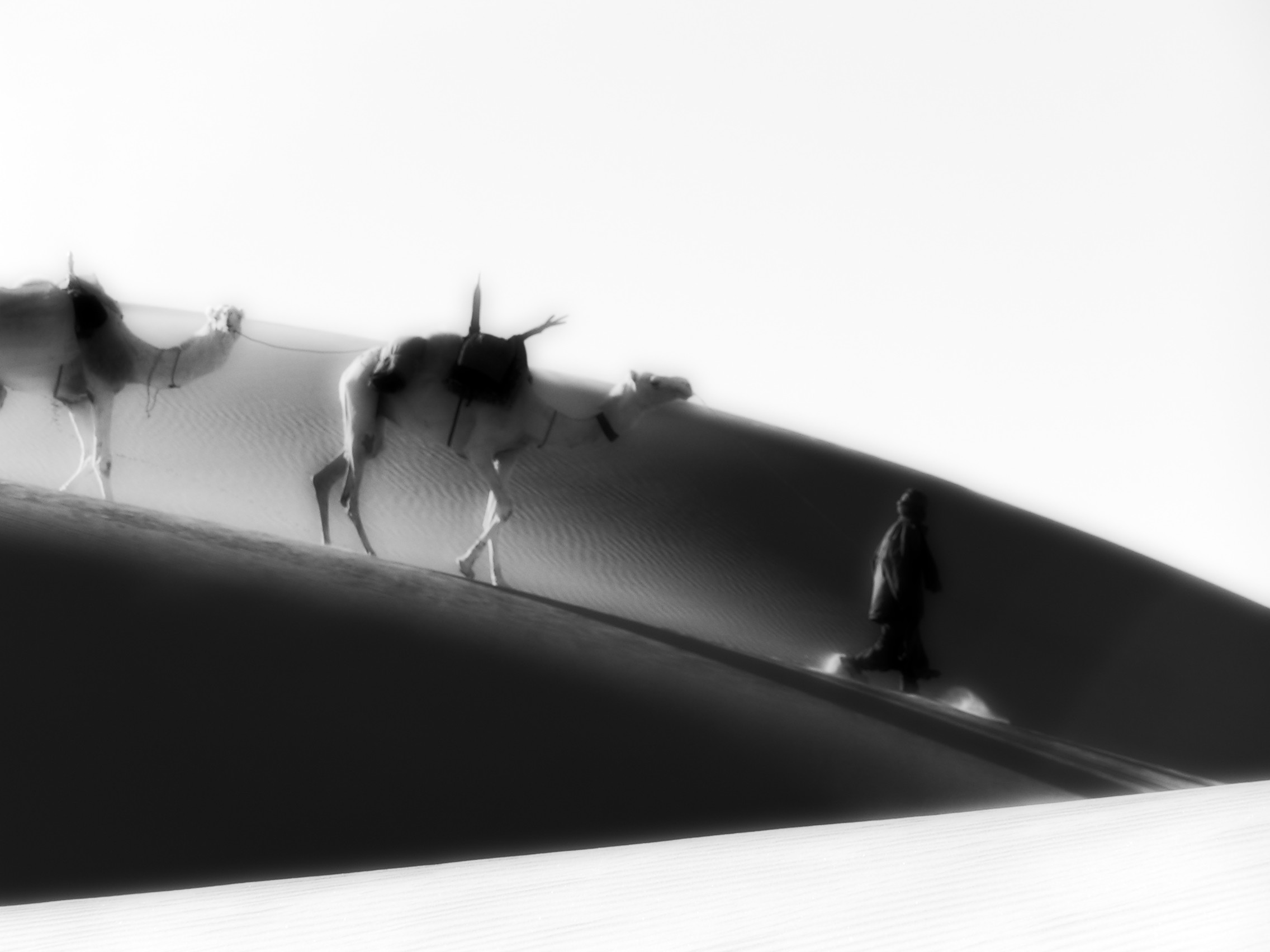 Méharé at the lakes in the Idehan Ubari, Fezzan