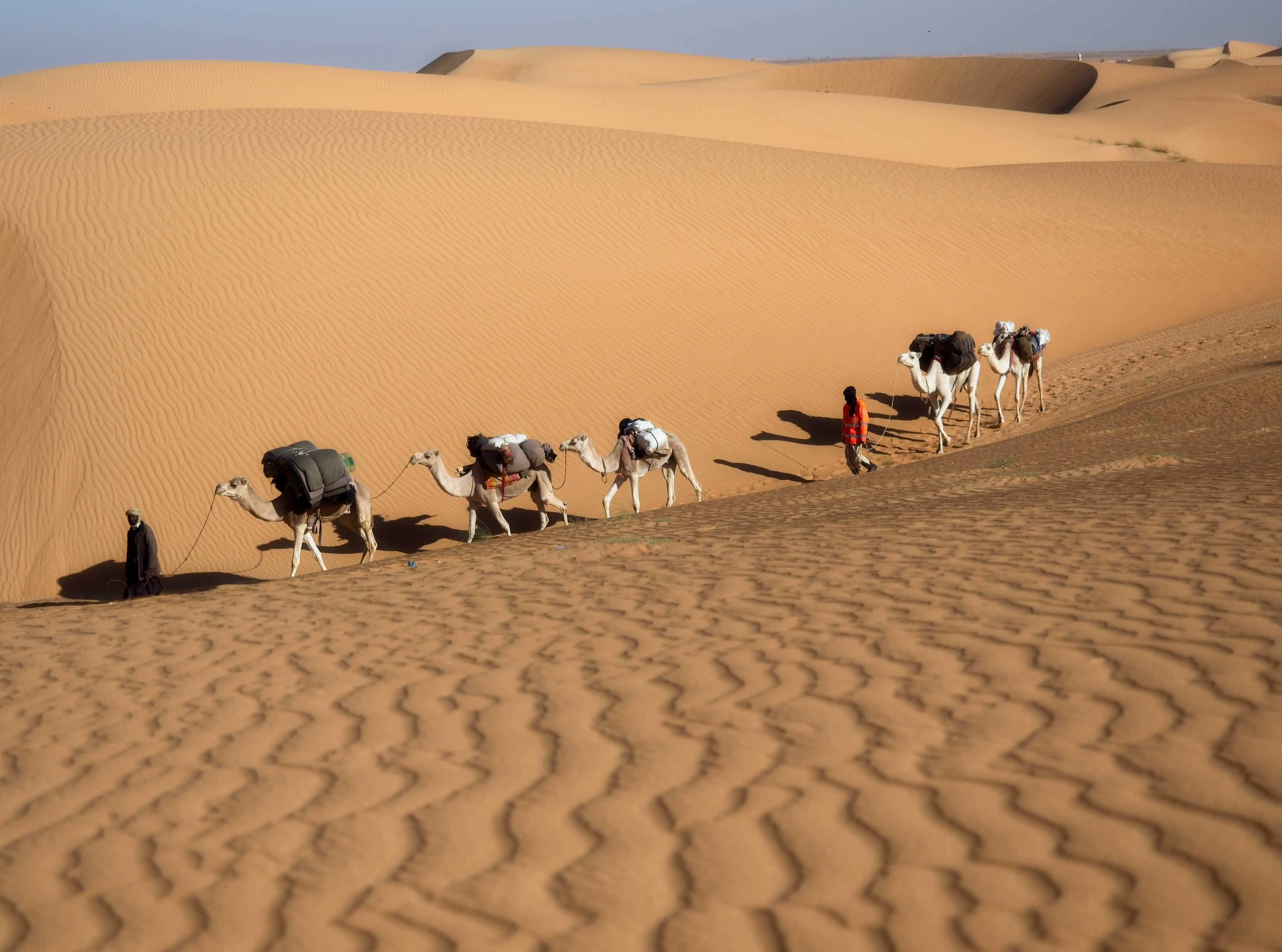 impressions of a trekking in the Adrar region of Mauritania