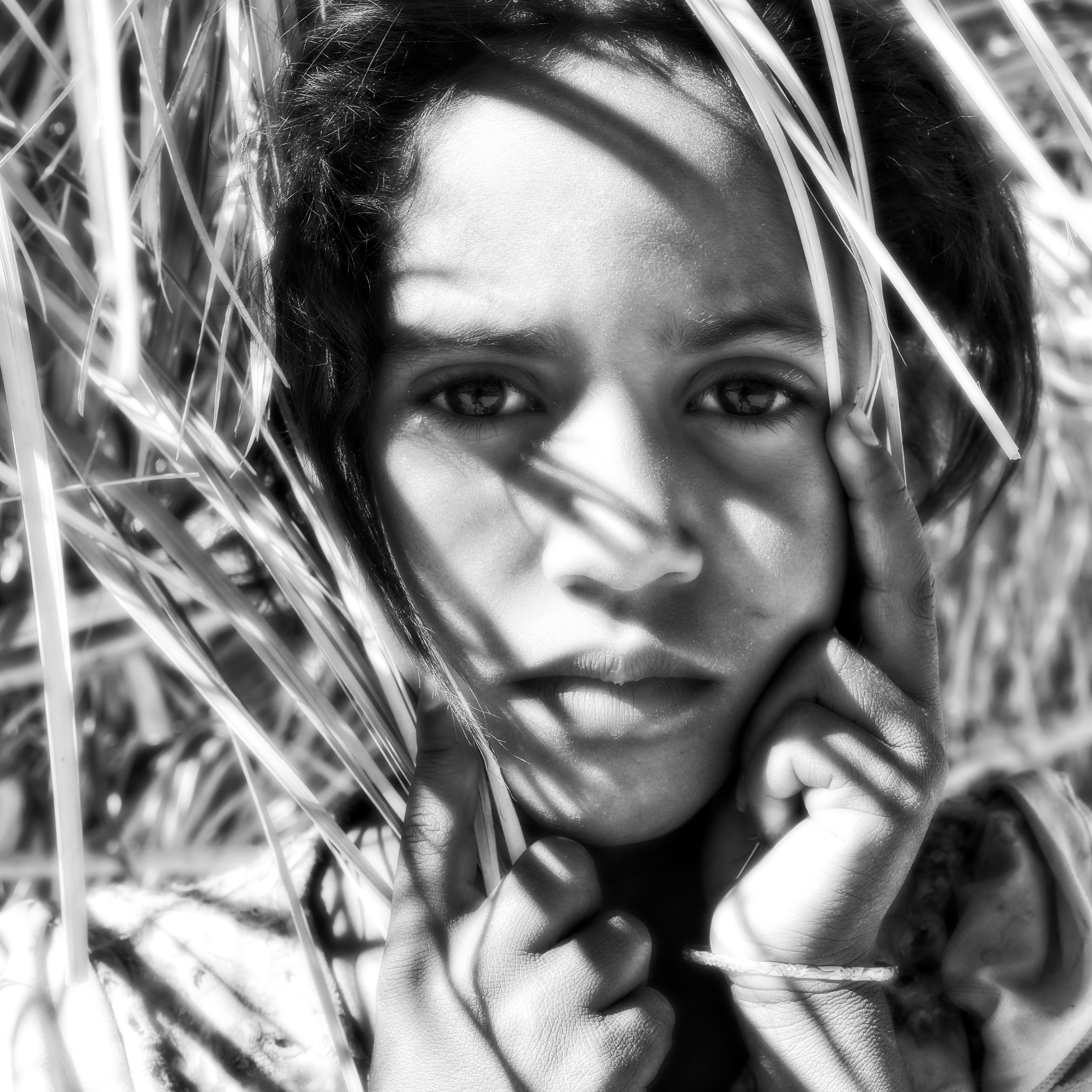 impressions of a trekking in the Adrar region of Mauritania